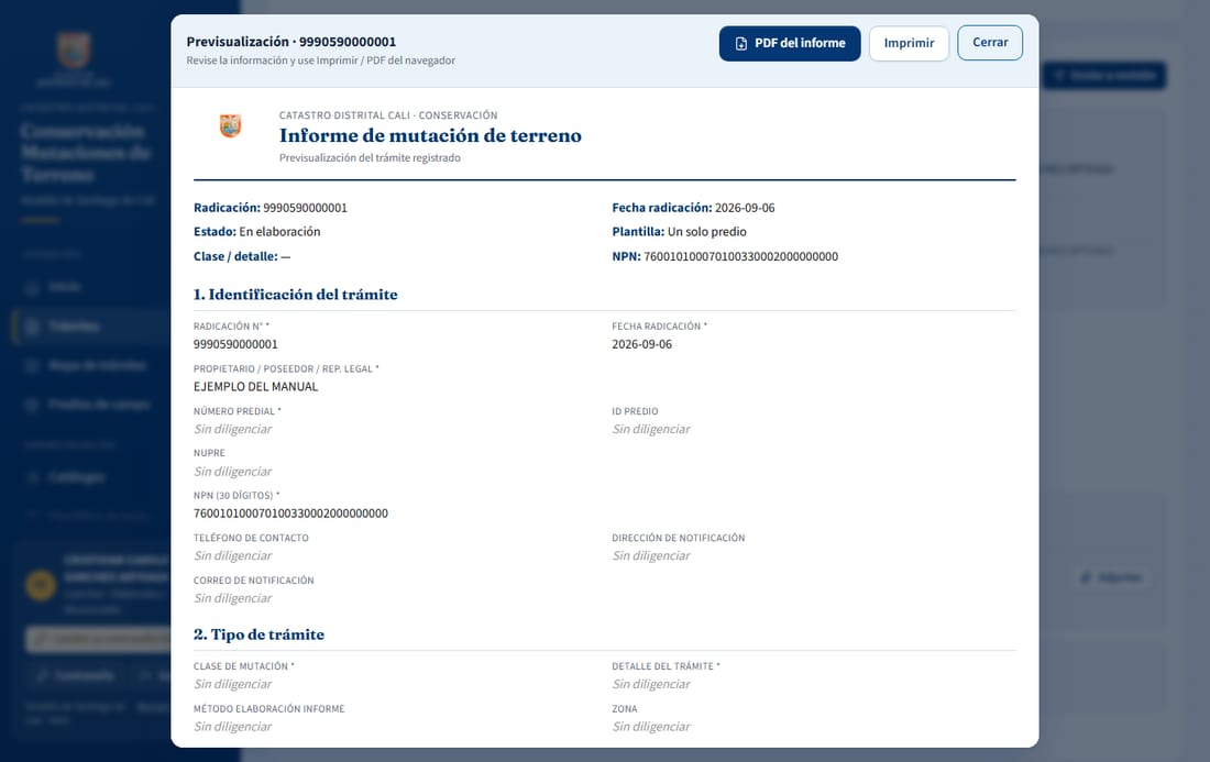Previsualización del informe